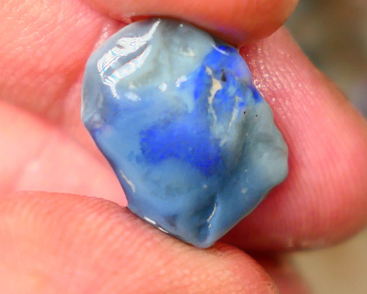 Lightning Ridge Dark base knobby opal rough 6.80cts Band of Blue fires to expose 16x12x6mm  B4-A162