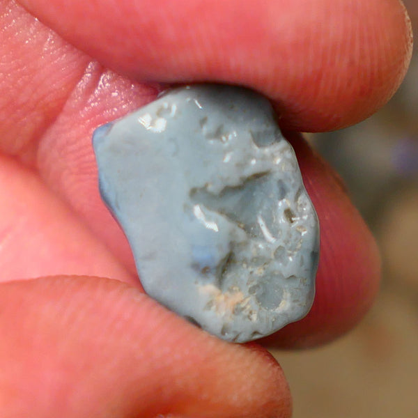 Lightning Ridge Dark base knobby opal rough 6.80cts Band of Blue fires to expose 16x12x6mm  B4-A162