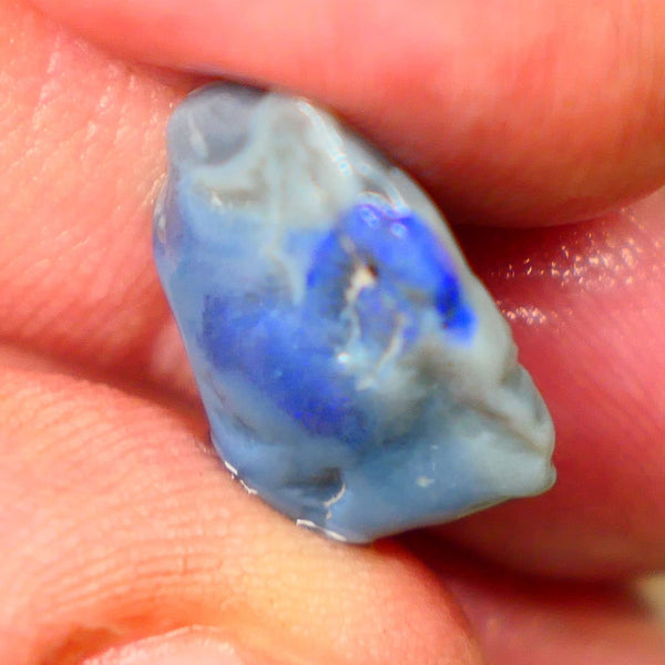 Lightning Ridge Dark base knobby opal rough 6.80cts Band of Blue fires to expose 16x12x6mm  B4-A162