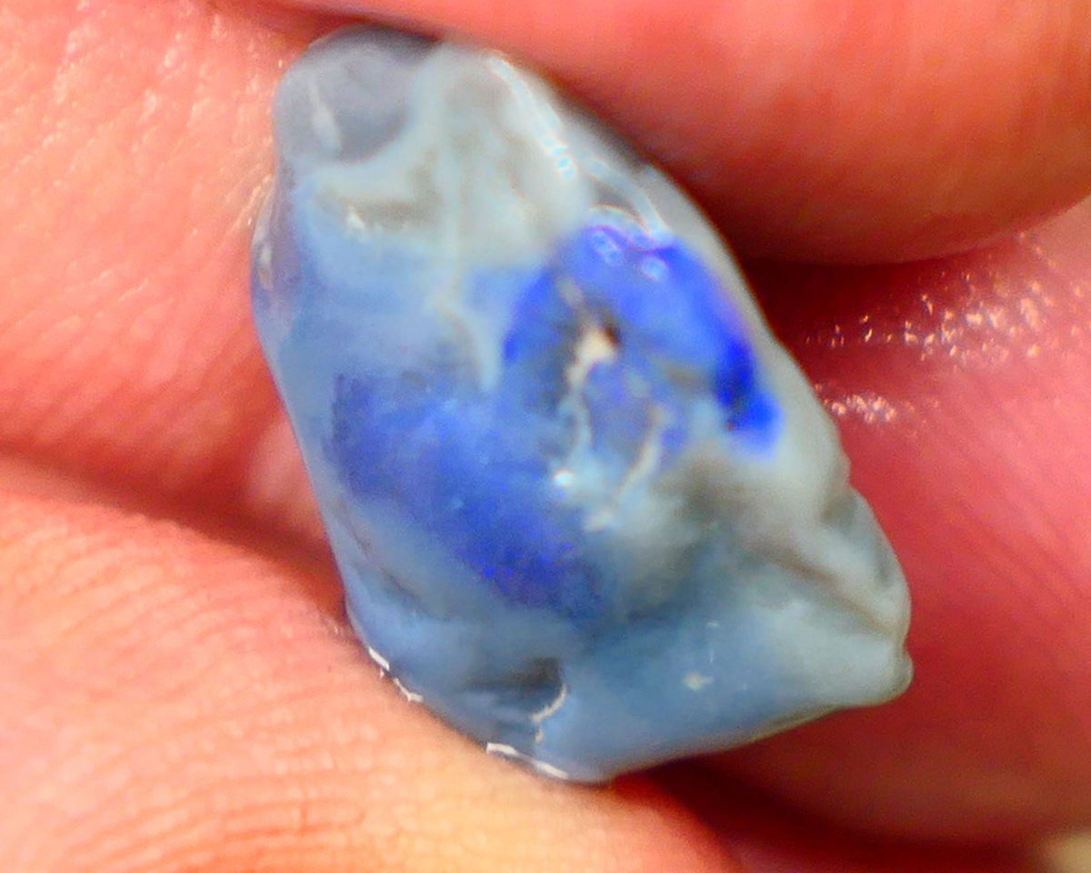 Lightning Ridge Dark base knobby opal rough 6.80cts Band of Blue fires to expose 16x12x6mm  B4-A162