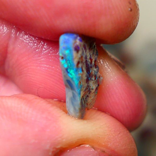 Small But gorgeous L/Ridge Seam opal rough to cut 2.40cts Bright Green & Blue fires 15x8x2mm  Lot B4-A148