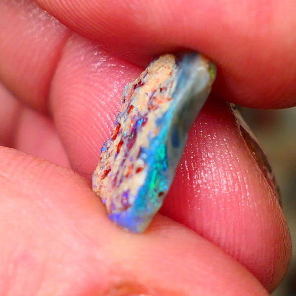 Small But gorgeous L/Ridge Seam opal rough to cut 2.40cts Bright Green & Blue fires 15x8x2mm  Lot B4-A148