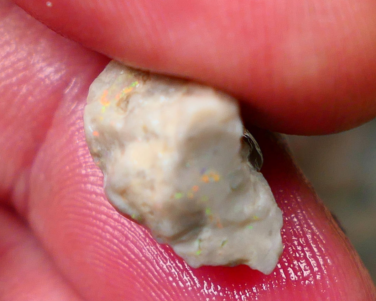 Oranges on this Knobby opal rough of Lightning Ridge 6.90cts Sold as gamble 16x12x9mm   Lot B4-A147