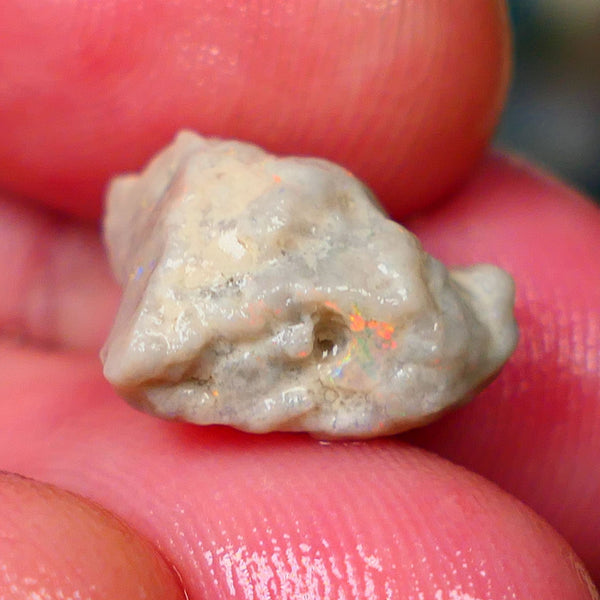 Oranges on this Knobby opal rough of Lightning Ridge 6.90cts Sold as gamble 16x12x9mm   Lot B4-A147