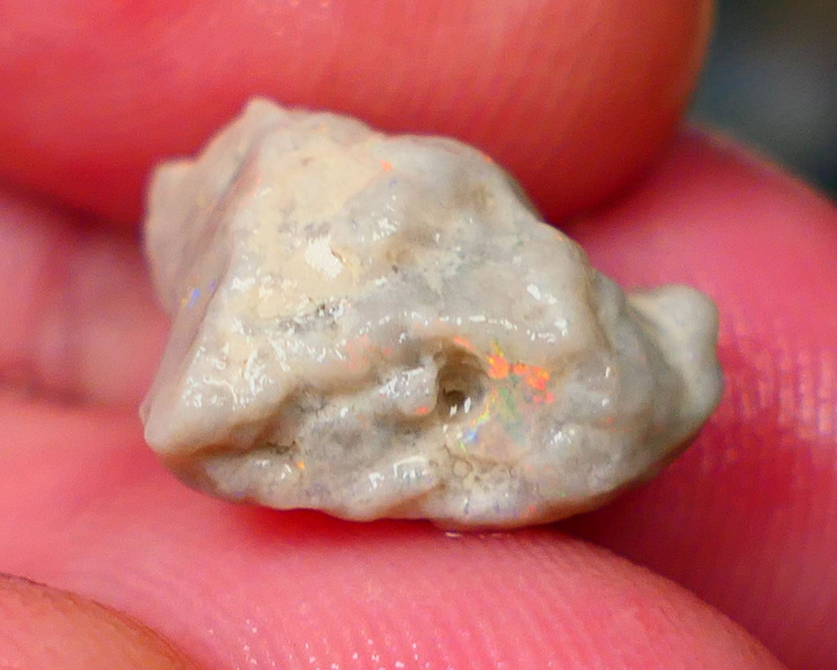 Oranges on this Knobby opal rough of Lightning Ridge 6.90cts Sold as gamble 16x12x9mm   Lot B4-A147