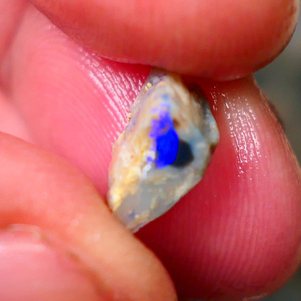 Small Piece of Lightning Ridge Knobby opal rough 2.00cts Bright Blue bar to chase 12x6x5mm Lot B4-A146