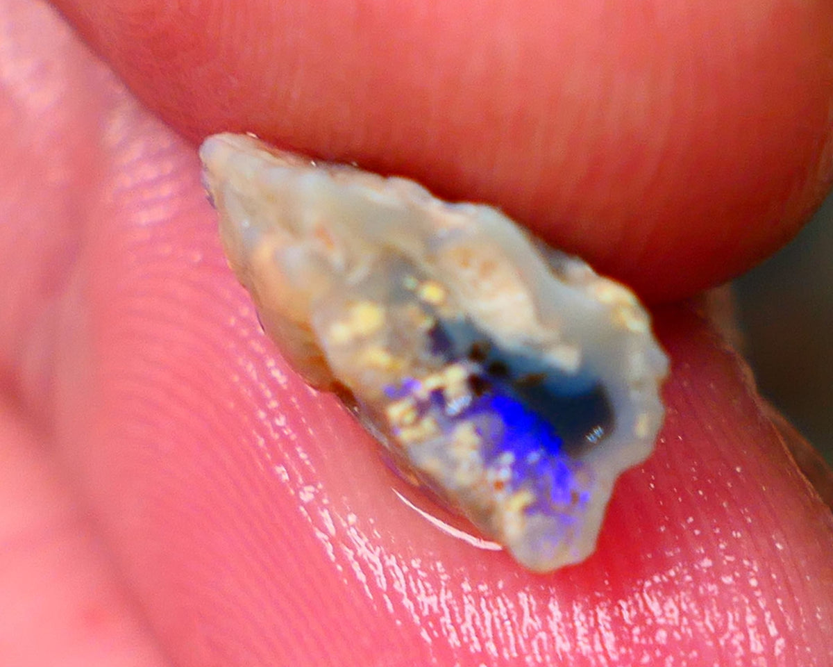 Small Piece of Lightning Ridge Knobby opal rough 2.00cts Bright Blue bar to chase 12x6x5mm Lot B4-A146