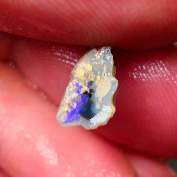 Small Piece of Lightning Ridge Knobby opal rough 2.00cts Bright Blue bar to chase 12x6x5mm Lot B4-A146