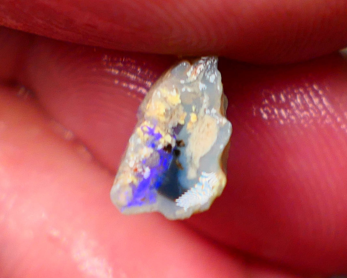 Small Piece of Lightning Ridge Knobby opal rough 2.00cts Bright Blue bar to chase 12x6x5mm Lot B4-A146