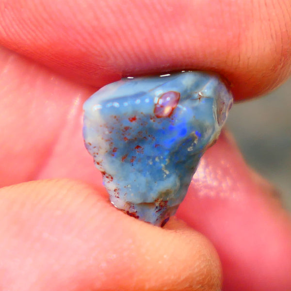 Lightning Ridge Dark Base knobby opal rough 4.25cts Blue colours showing 11x11x7mm   Lot B4-A145