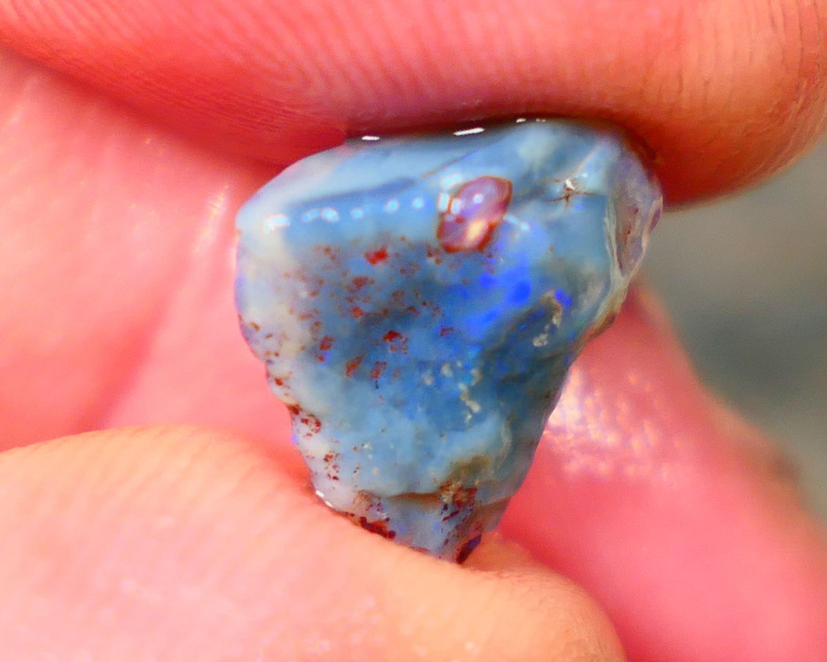 Lightning Ridge Dark Base knobby opal rough 4.25cts Blue colours showing 11x11x7mm   Lot B4-A145