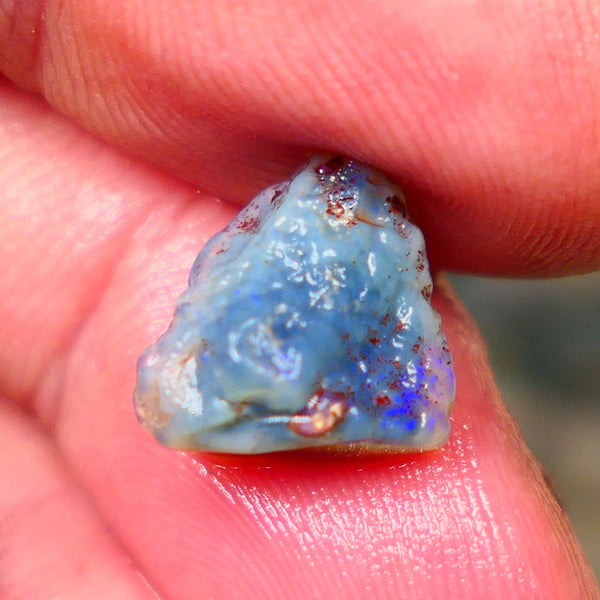 Lightning Ridge Dark Base knobby opal rough 4.25cts Blue colours showing 11x11x7mm   Lot B4-A145