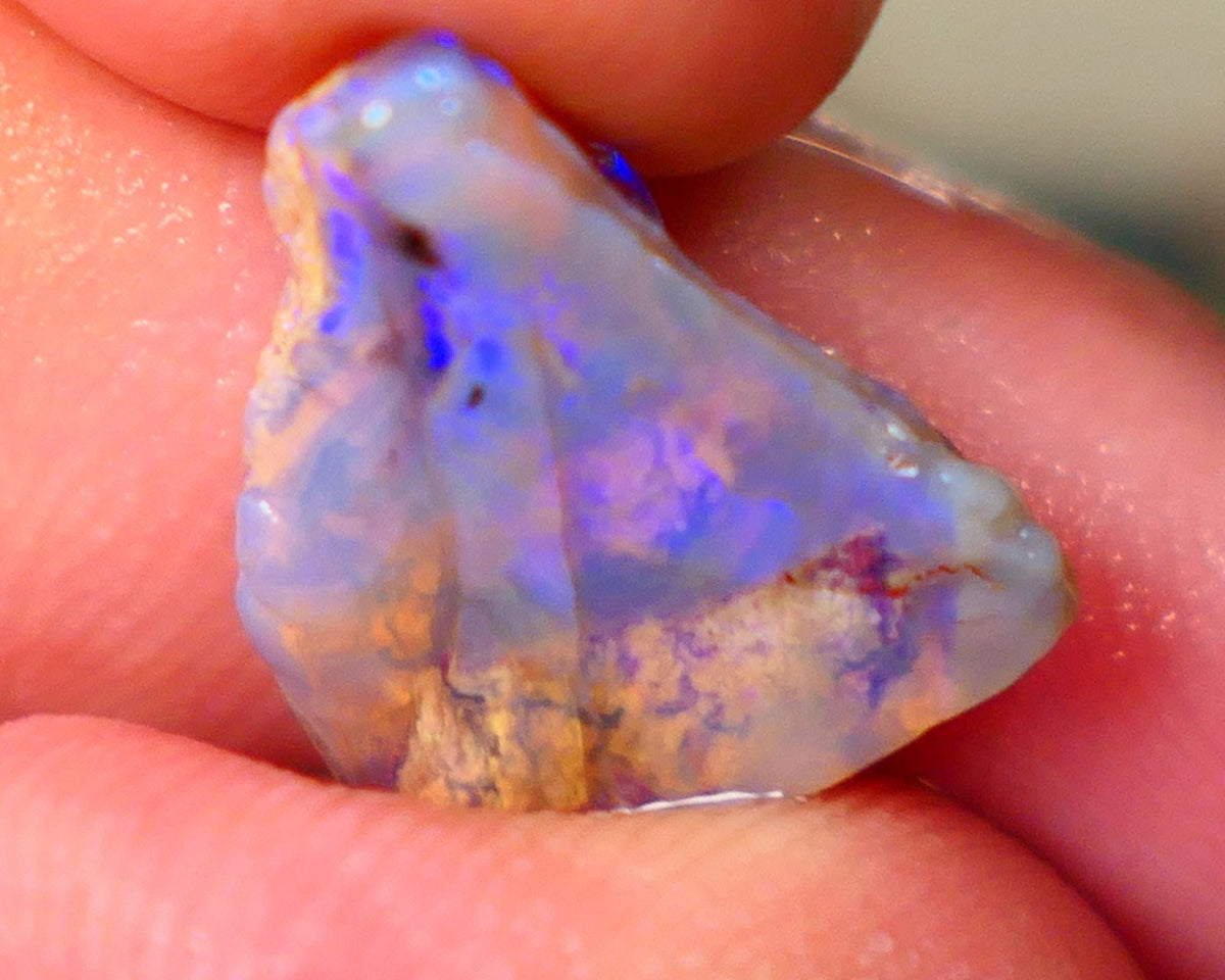 Lightning Ridge Opalised wood fossil rough rub 4.70cts Blues colours 15x13x4mm Lot B4-A142