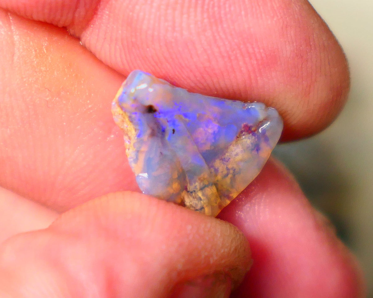 Lightning Ridge Opalised wood fossil rough rub 4.70cts Blues colours 15x13x4mm Lot B4-A142