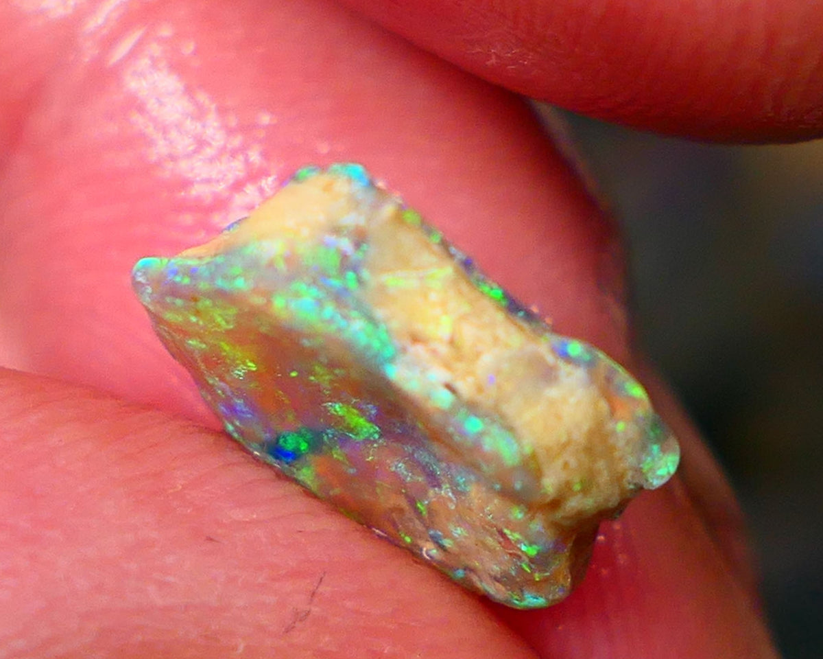 Multicolours popping on this Lightning Ridge Crystal opal formation rough 3.10cts Sand and clay to work around 12x11x5mm Lot B4-A044