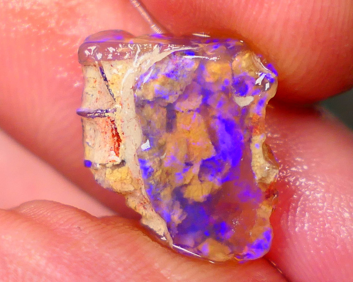 Lightning Ridge Opalised Wood Fossil Rough 5.25cts Bright Vibrant blues 18x14x4mm Lot B4-A014