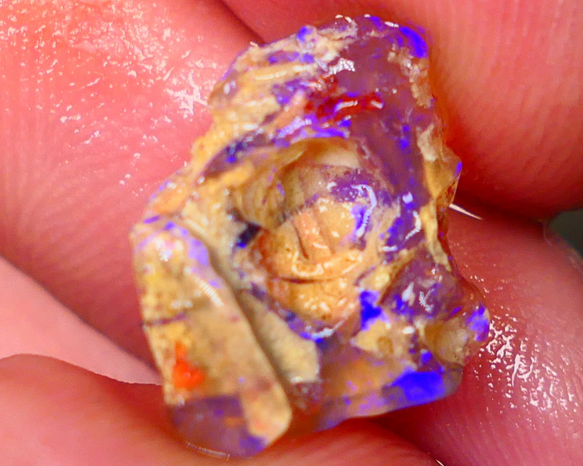 Lightning Ridge Opalised Wood Fossil Rough 5.25cts Bright Vibrant blues 18x14x4mm Lot B4-A014