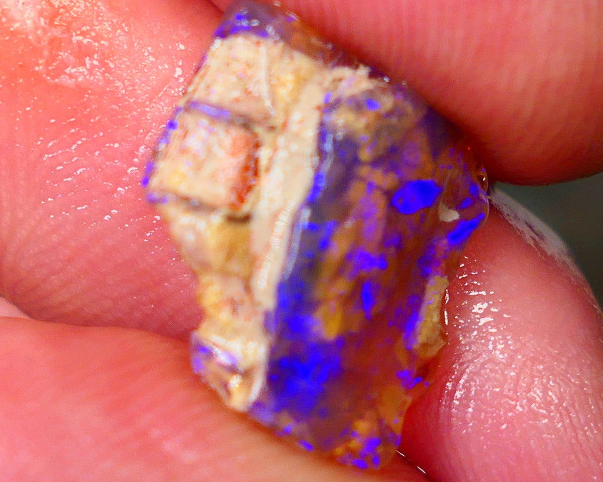 Lightning Ridge Opalised Wood Fossil Rough 5.25cts Bright Vibrant blues 18x14x4mm Lot B4-A014