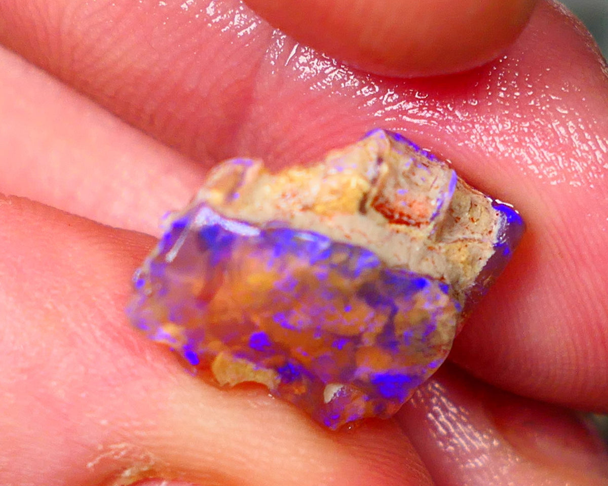 Lightning Ridge Opalised Wood Fossil Rough 5.25cts Bright Vibrant blues 18x14x4mm Lot B4-A014