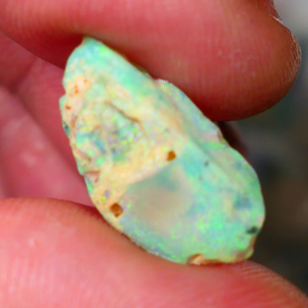 Lightning Ridge Opalised Fossil rough 5.40cts Stunning Yellow Dominant Fires 21x10x6mm Lot B4-A012