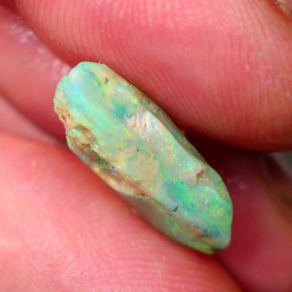 Lightning Ridge Opalised Fossil rough 5.40cts Stunning Yellow Dominant Fires 21x10x6mm Lot B4-A012