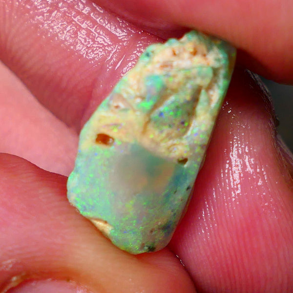 Lightning Ridge Opalised Fossil rough 5.40cts Stunning Yellow Dominant Fires 21x10x6mm Lot B4-A012