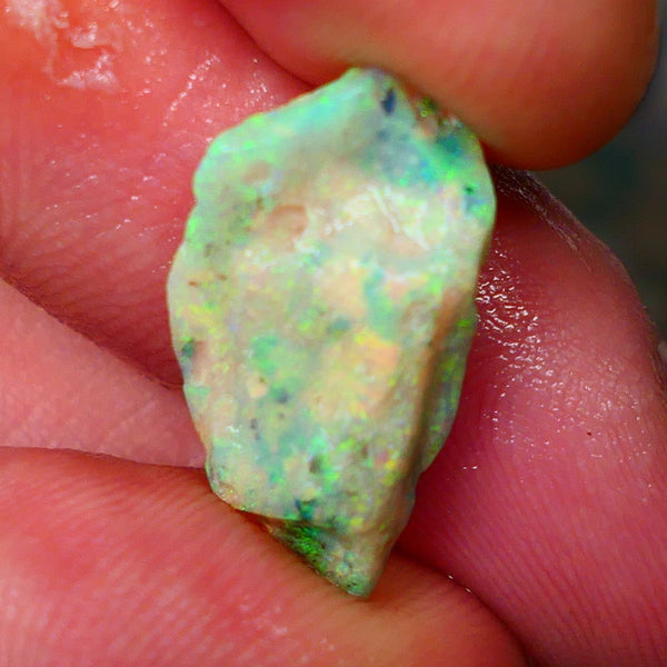 Lightning Ridge Opalised Fossil rough 5.40cts Stunning Yellow Dominant Fires 21x10x6mm Lot B4-A012