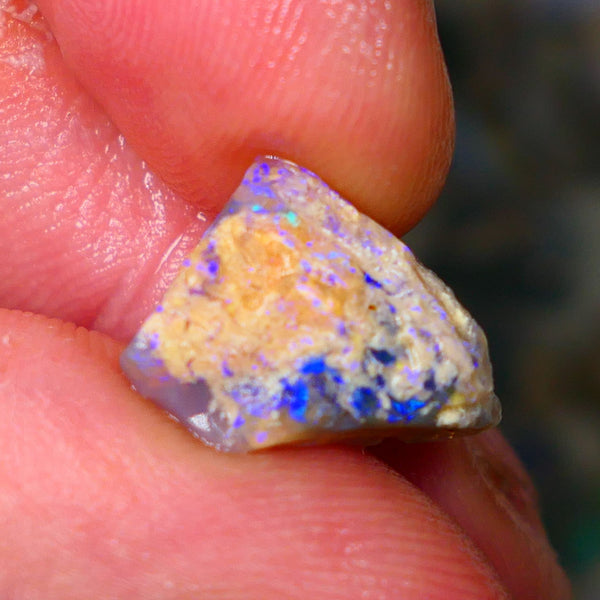 Lightning Ridge Crystal knobby opal formation rough 4.90cts Bright Blues showing through the skin to gamble 15x12x6mm Lot  B4-A011