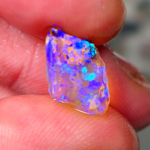 Lightning Ridge Opalised Wood Fossil Rub/rough 2.25cts Bright Gorgeous Greens & Blues 15x9x3mm Lot B4-A010