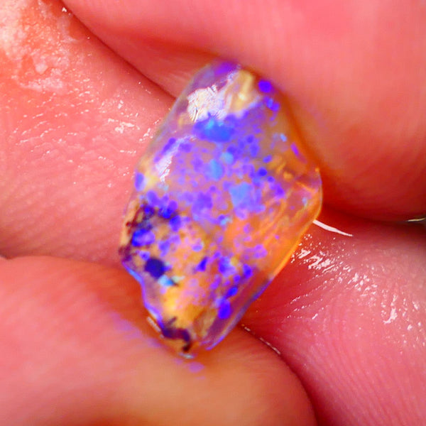Lightning Ridge Opalised Wood Fossil Rub/rough 2.25cts Bright Gorgeous Greens & Blues 15x9x3mm Lot B4-A010