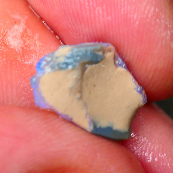 Lightning Ridge Dark Crystal Knobby opal formation rough 3.40cts Bright Gorgeous blues to gamble 16x11x4mm Lot B4-A007
