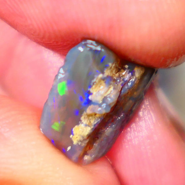 Lightning Ridge Dark Base Crystal Opalised wood fossil opal rough 3.00cts Green & Blue fire flashes 13x11x4mm Lot B4-A184