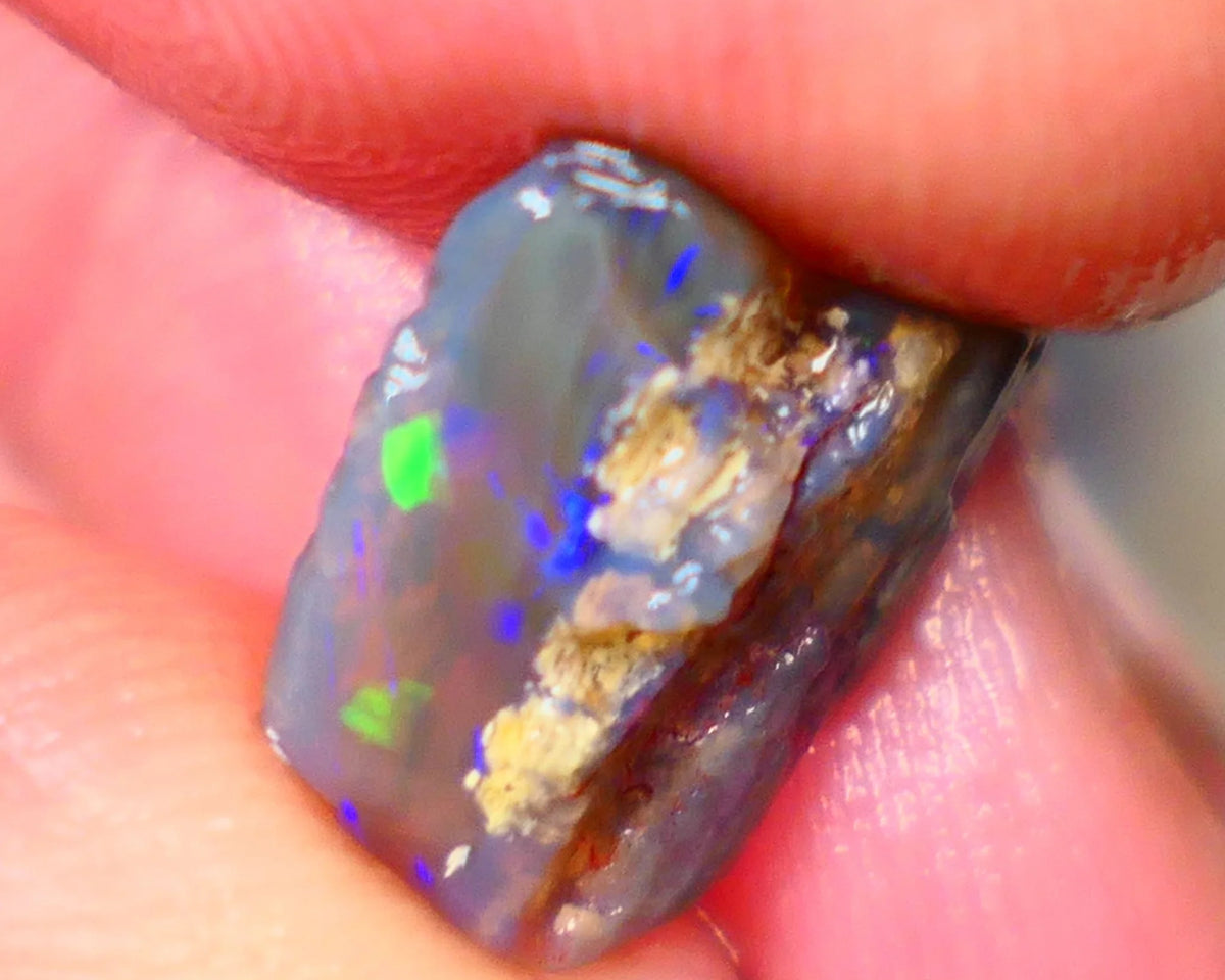 Lightning Ridge Dark Base Crystal Opalised wood fossil opal rough 3.00cts Green & Blue fire flashes 13x11x4mm Lot B4-A184