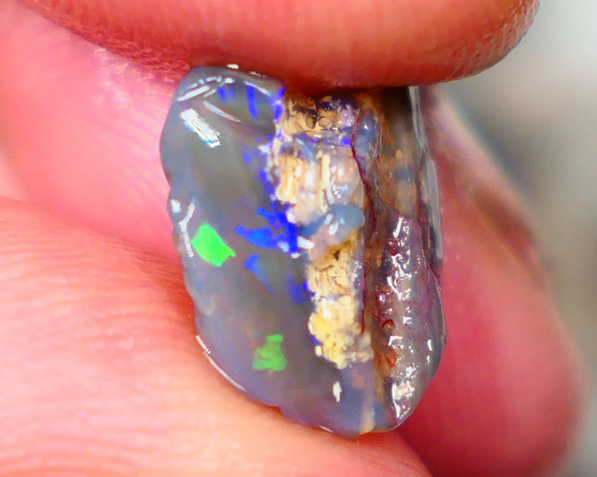 Lightning Ridge Dark Base Crystal Opalised wood fossil opal rough 3.00cts Green & Blue fire flashes 13x11x4mm Lot B4-A184