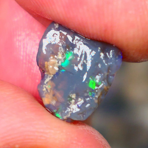 Lightning Ridge Dark Base Crystal Opalised wood fossil opal rough 3.00cts Green & Blue fire flashes 13x11x4mm Lot B4-A184