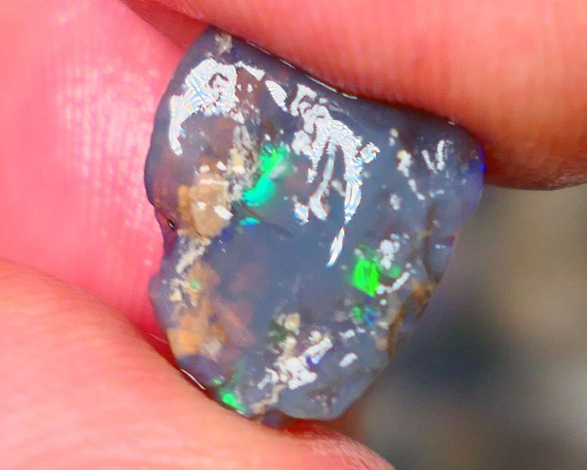 Lightning Ridge Dark Base Crystal Opalised wood fossil opal rough 3.00cts Green & Blue fire flashes 13x11x4mm Lot B4-A184