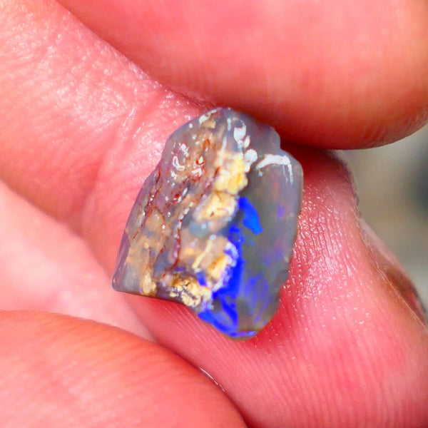 Lightning Ridge Dark Base Crystal Opalised wood fossil opal rough 3.00cts Green & Blue fire flashes 13x11x4mm Lot B4-A184