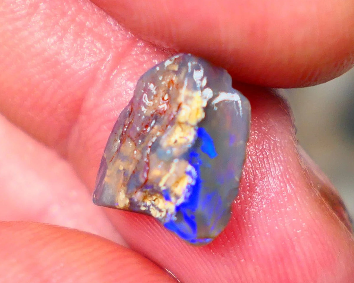 Lightning Ridge Dark Base Crystal Opalised wood fossil opal rough 3.00cts Green & Blue fire flashes 13x11x4mm Lot B4-A184