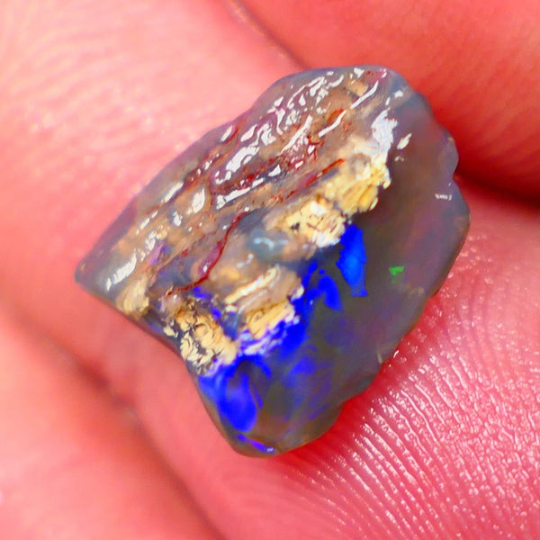 Lightning Ridge Dark Base Crystal Opalised wood fossil opal rough 3.00cts Green & Blue fire flashes 13x11x4mm Lot B4-A184