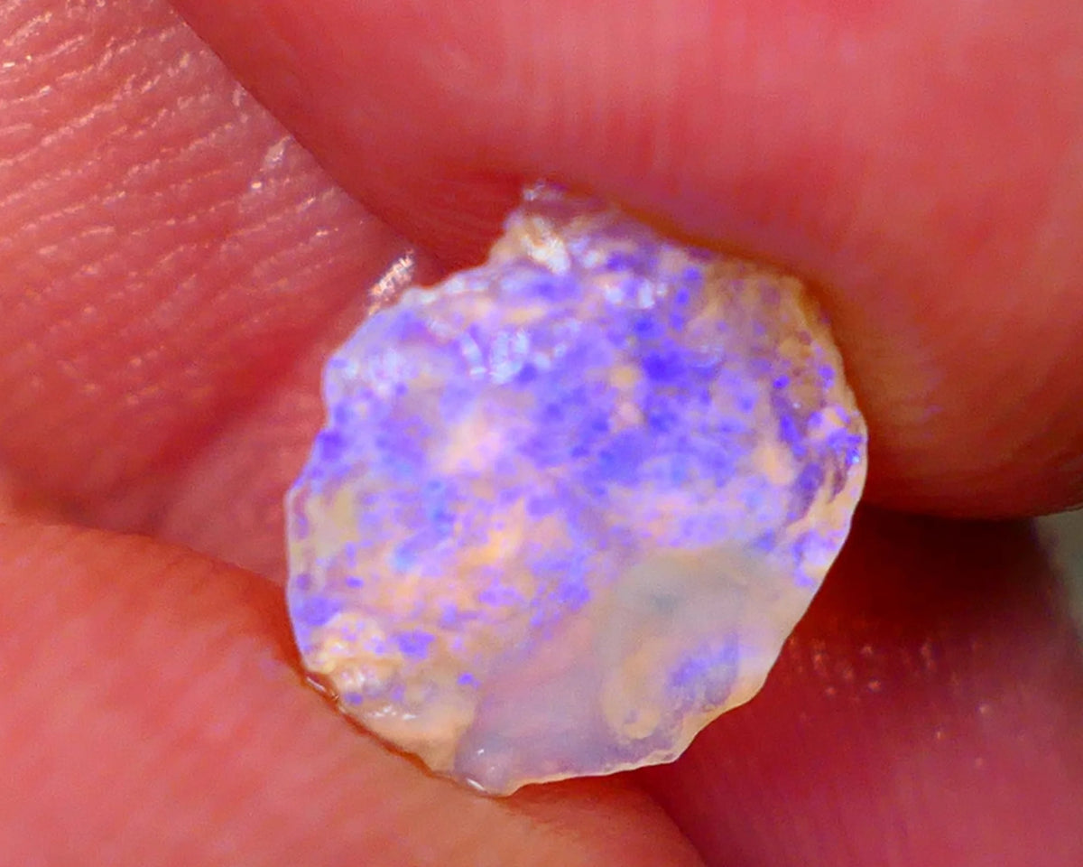 Lightning Ridge Thin Crystal Knobby opal rough 1.50cts Bright Light Blue fires 12x9x2mm Lot B4-A188