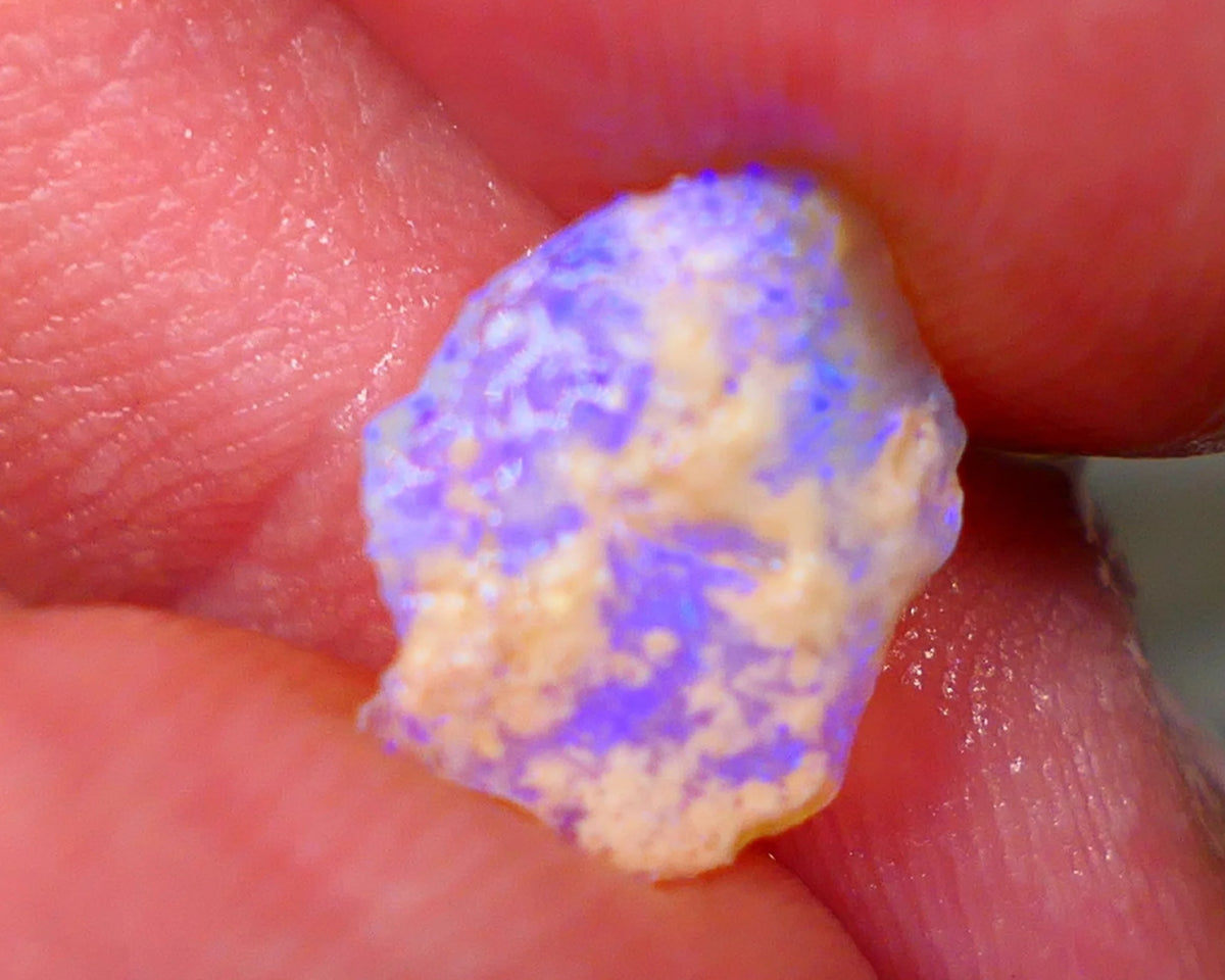 Lightning Ridge Thin Crystal Knobby opal rough 1.50cts Bright Light Blue fires 12x9x2mm Lot B4-A188