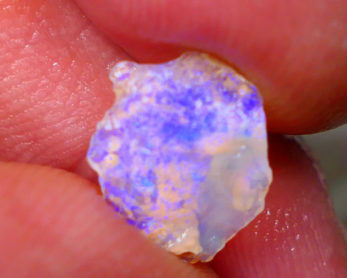 Lightning Ridge Thin Crystal Knobby opal rough 1.50cts Bright Light Blue fires 12x9x2mm Lot B4-A188