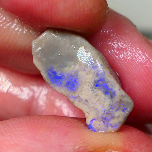 Lightning Ridge Dark base opal rub/rough Blues showing on exposed face 20x9x8mm Lot B4-A192