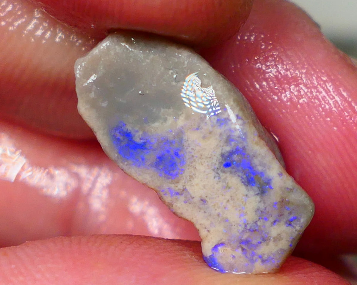 Lightning Ridge Dark base opal rub/rough Blues showing on exposed face 20x9x8mm Lot B4-A192