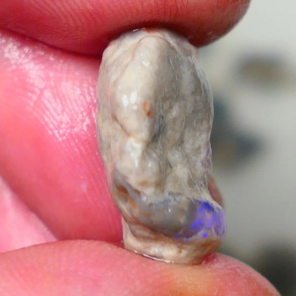 Lightning Ridge Dark base opal rub/rough Blues showing on exposed face 20x9x8mm Lot B4-A192