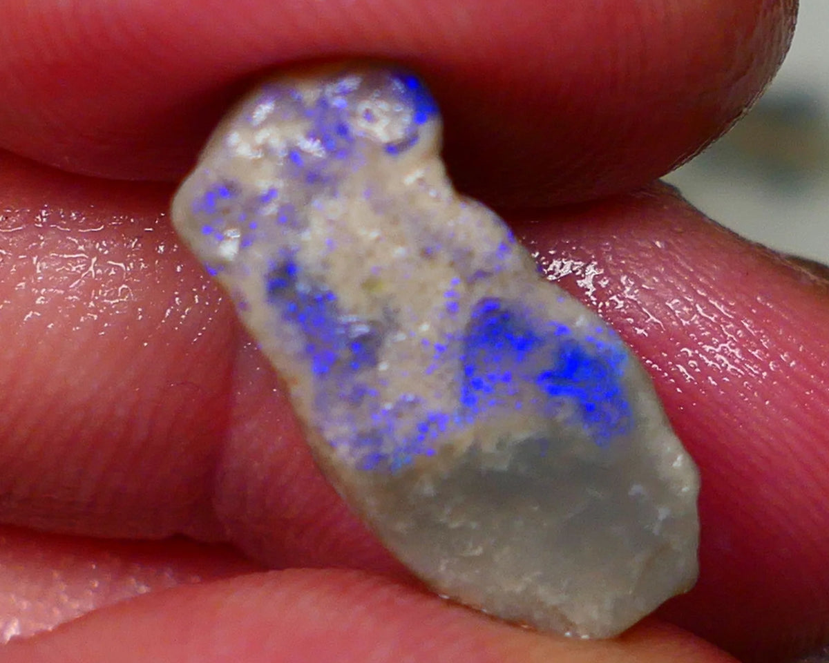 Lightning Ridge Dark base opal rub/rough Blues showing on exposed face 20x9x8mm Lot B4-A192