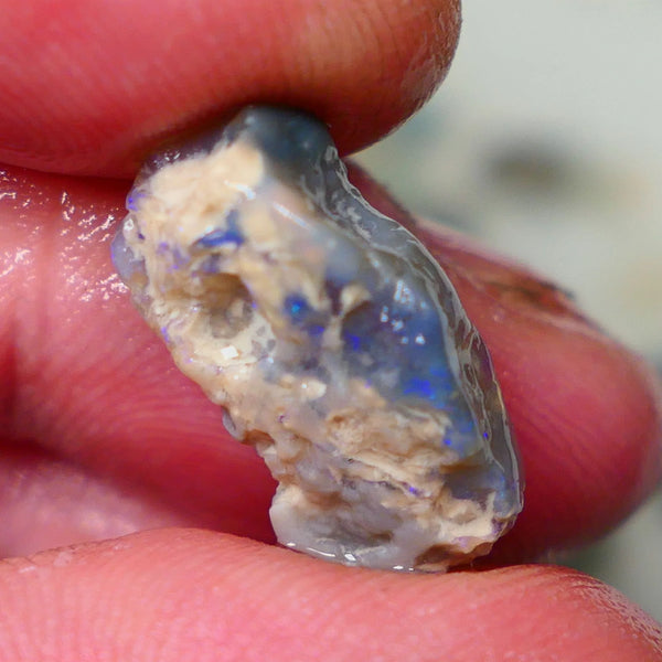 Lightning Ridge Dark Crystal knobby opal rough 7.00cts Bright Blue bar to expose sold as gamble Lot  B4-A194