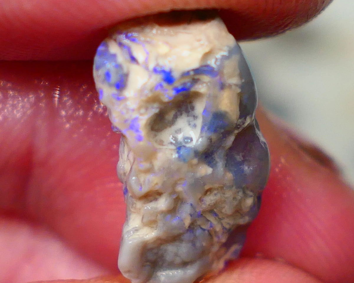 Lightning Ridge Dark Crystal knobby opal rough 7.00cts Bright Blue bar to expose sold as gamble Lot  B4-A194