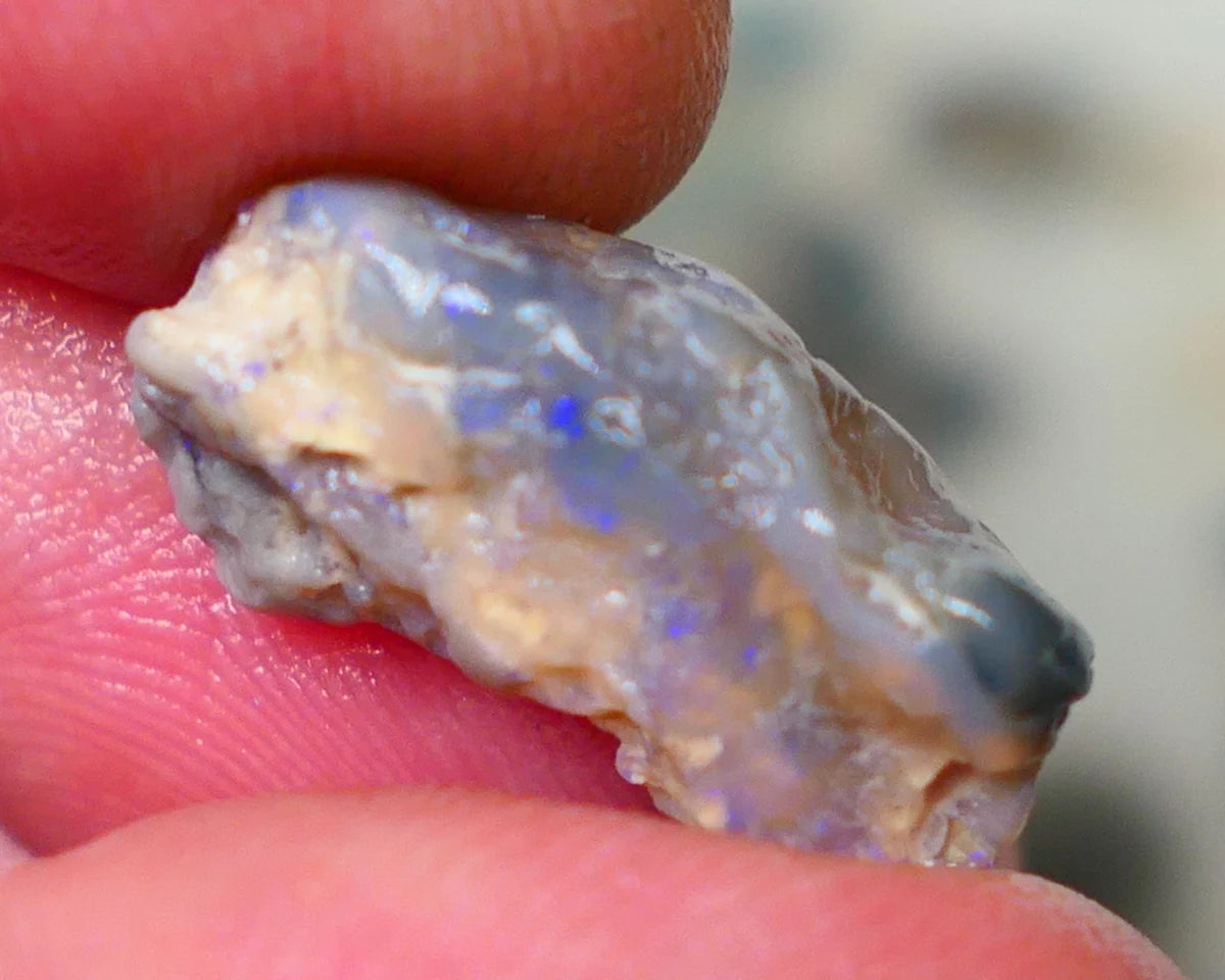 Lightning Ridge Dark Crystal knobby opal rough 7.00cts Bright Blue bar to expose sold as gamble Lot  B4-A194