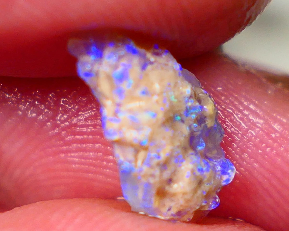 Lightning Ridge Crystal knobby opal formation rough 1.75cts Small But Packing Bright Vibrant blues 14x8x4mm Lot B4-A195